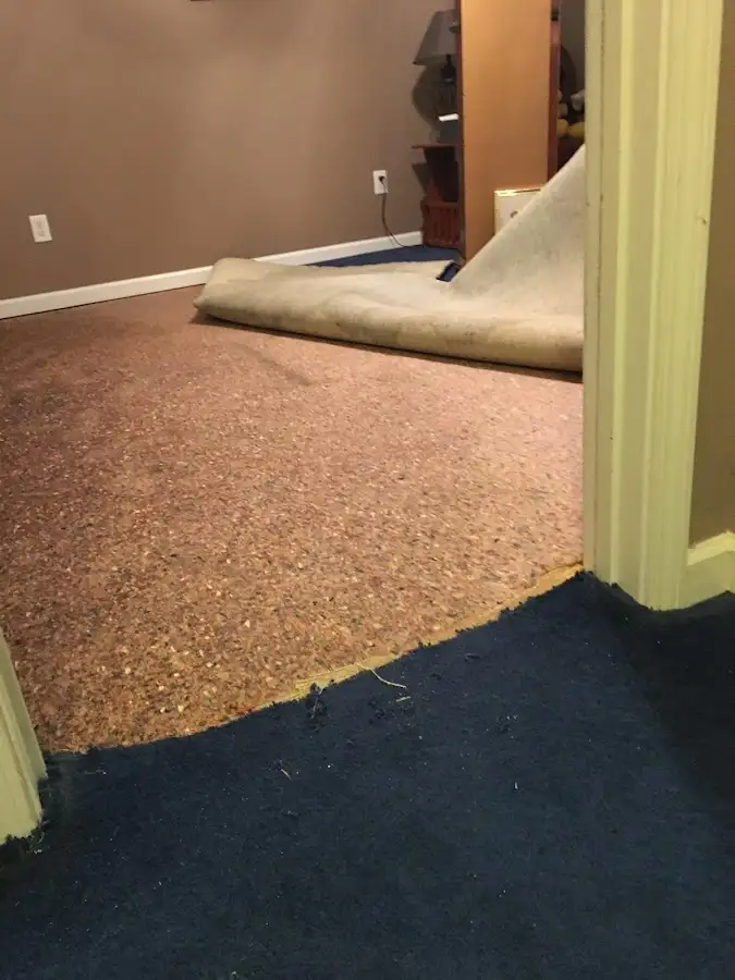 Carpet pad removal revealing water damage during Water Mitigation Services in Lake Magdalene