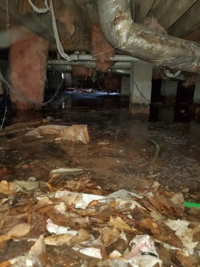 Crawl space flood assessment for Commercial Water Damage Restoration in Lake Magdalene
